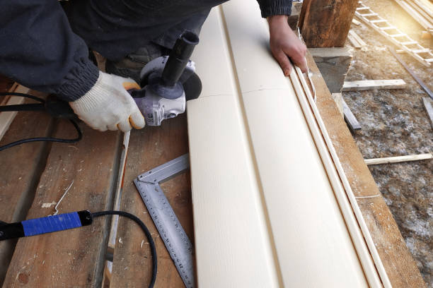 Best Fascia and Soffit Installation  in Raytown, MO