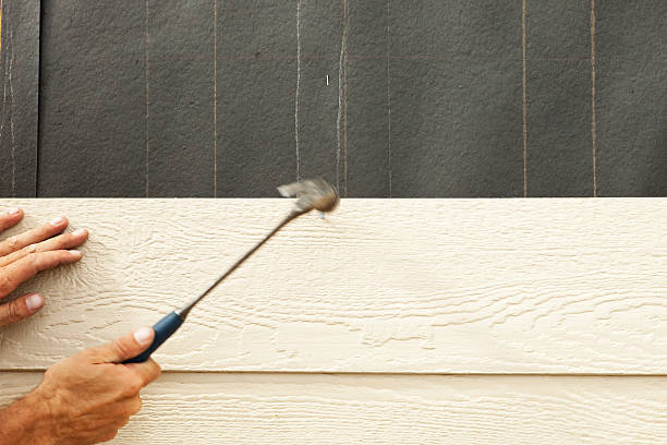 Affordable Siding Repair and Maintenance Services in Raytown, MO